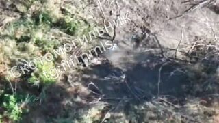 Drone hits Ukrat ass and splits him in half.