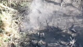 Drone hits Ukrat ass and splits him in half.