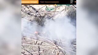 200 IQ Ukrainian vs Rus Drone.
