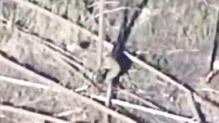 200 IQ Ukrainian vs Rus Drone.