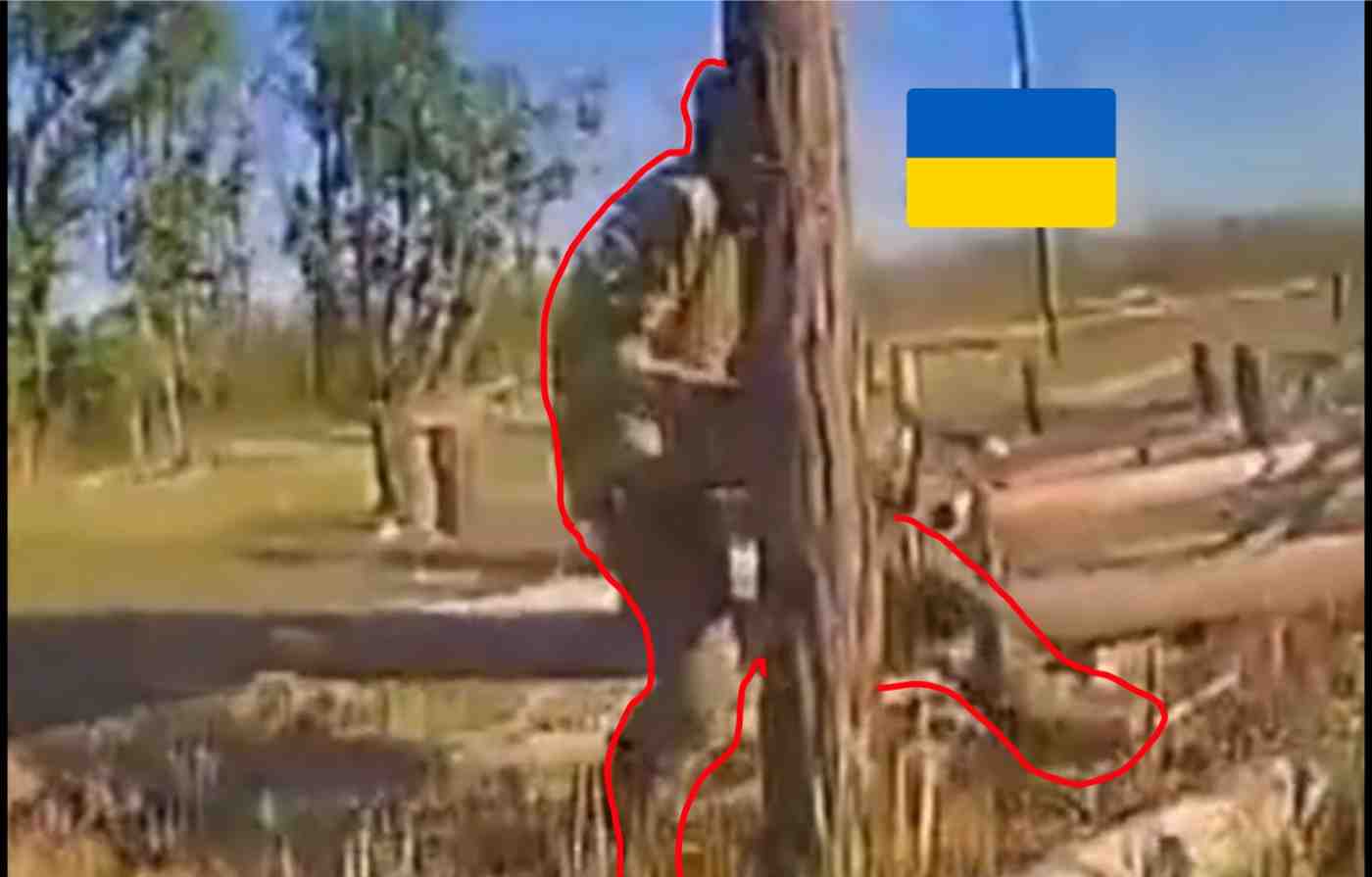 200 IQ Ukrainian vs Rus Drone.
