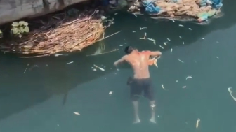 A Real Big Fish