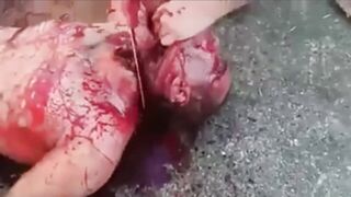 Many Ways To Die (Compilation)