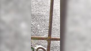 Female Moped Rider Makes A Fatal Mistake