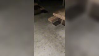 Two Scumbags In California Avoid Jail After Videos Show Them Beating And Pissing On Homelss Man