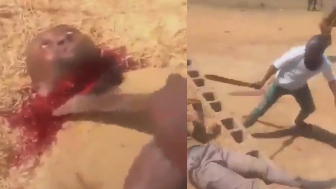 Villager Chased And Savagely Murdered By Machete Gang