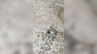 Mud Baths In Brazil Look Different