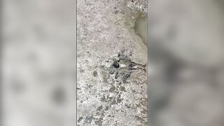 Mud Baths In Brazil Look Different