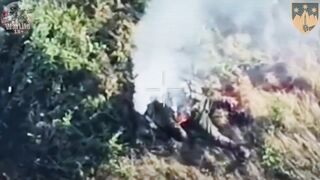 21 dead katsapfaggot by 425-th Assault Regiment "Skelya" near Udachne village