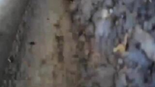 Assassination Attemp