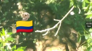 Colombian merc  and other Ukrainians killed.