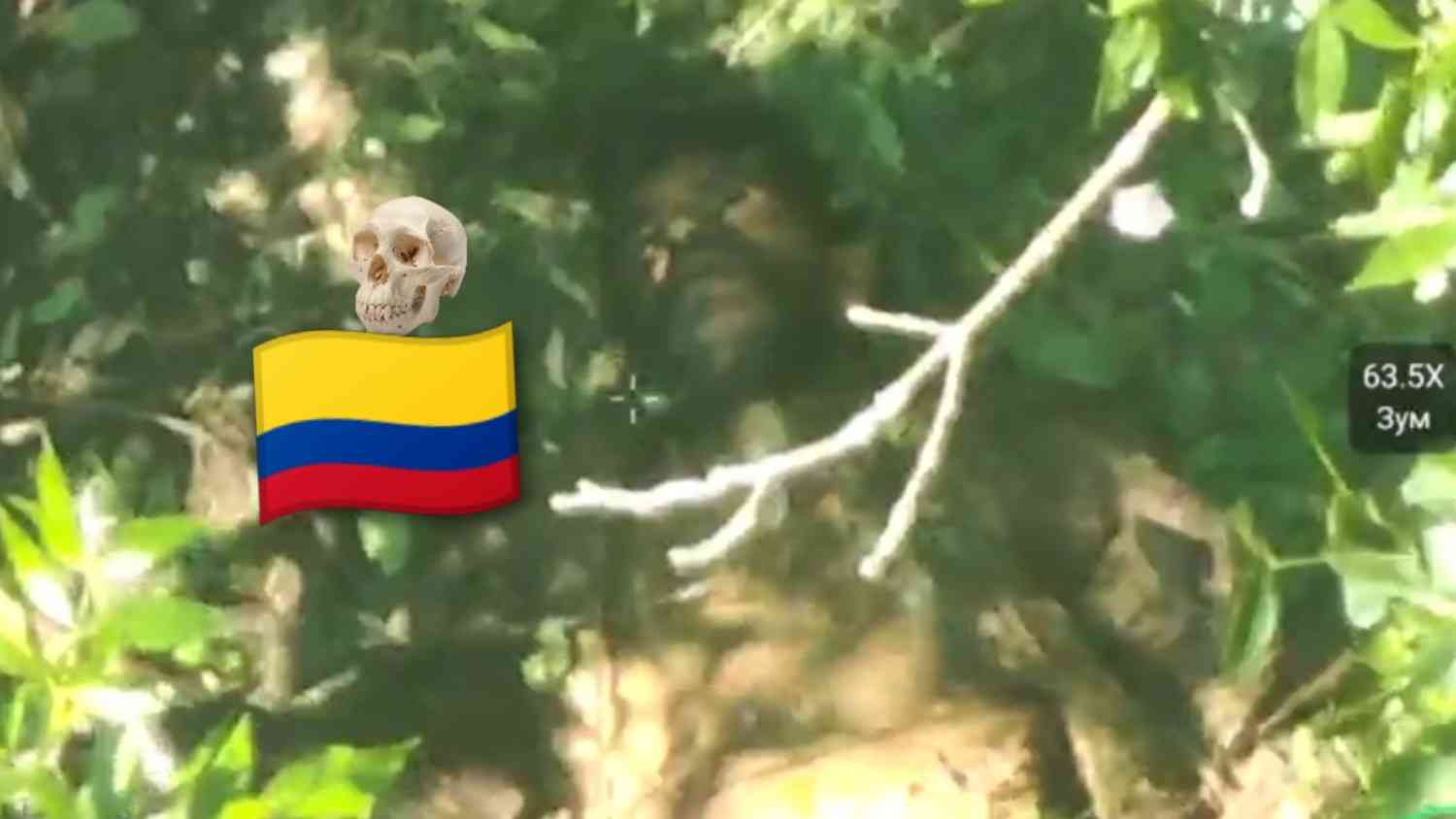 Colombian merc  and other Ukrainians killed.