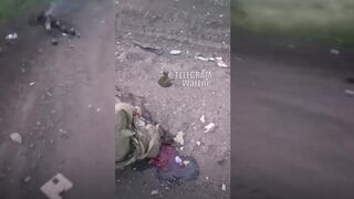 1.5 minutes of dead pedoruzzians alongside the road, burning ass, etc