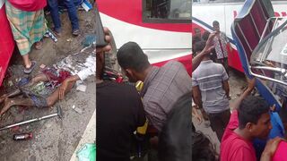 Multiple people dead in bus accident