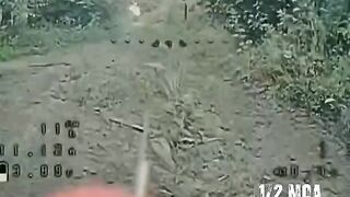 You can't masturbate near Russian drones.