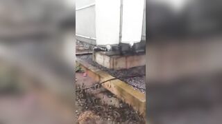 Cable Thief Electrocuted And Killed In Nigeria