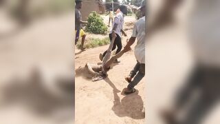 Rapist Killed By Angry Mob in Nigeria as Crowd Takes Justice