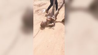 Rapist Killed By Angry Mob in Nigeria as Crowd Takes Justice