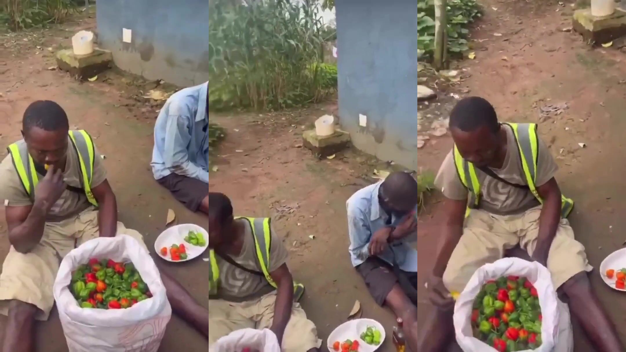 Thieves Forced To Eat Pepper They Stole