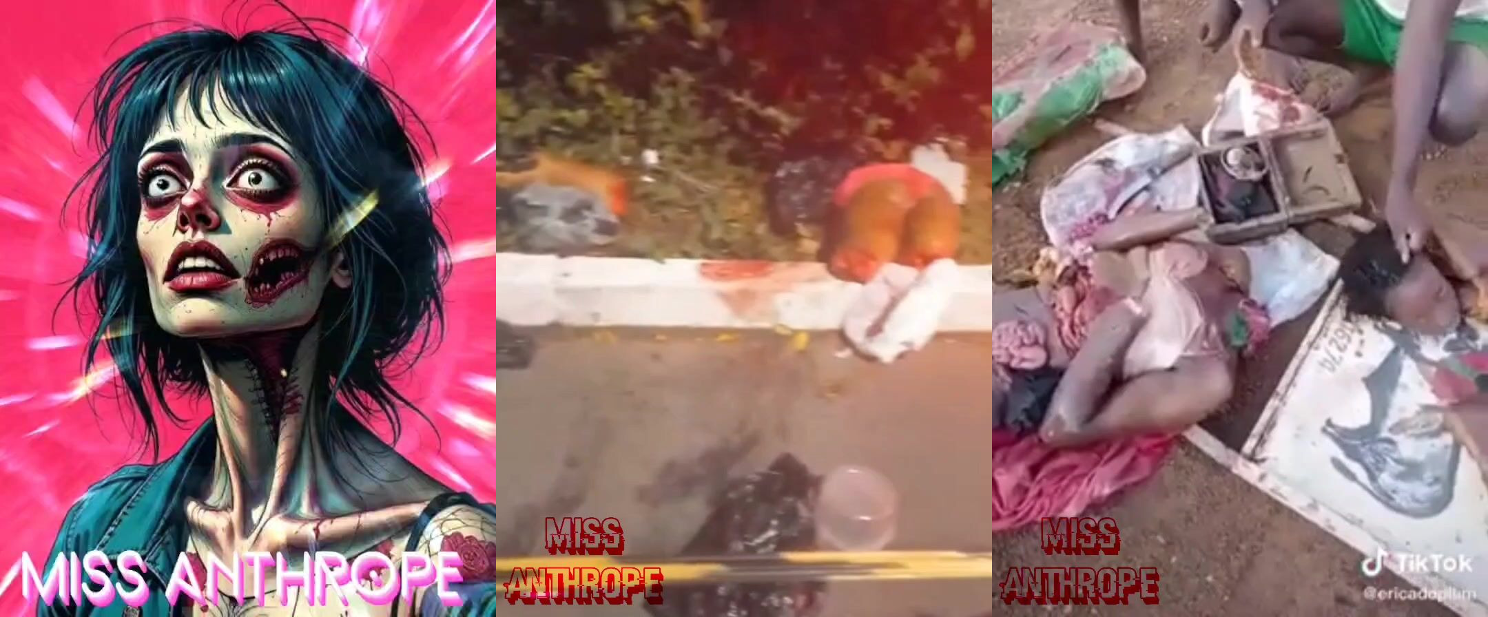 Gore Compilation 39