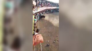 Man Fatally Gored By Bull In Colombia