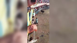 Man Fatally Gored By Bull In Colombia