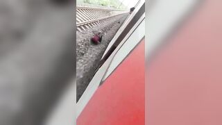 Phone Thief Kicked Off A Moving Train, Passenger Arrested