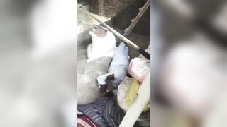 Workers Electrocuted By Powerlines