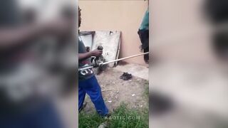 MOTHER AFRICA..... (a compilation)
