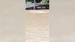 Literaaly  Wrong Place Wrong Time