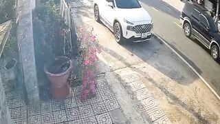 Elderly Woman Riding A Bicycle Gets Head Crushed By Speeding Truck