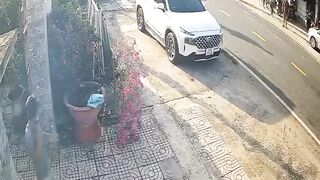 Elderly Woman Riding A Bicycle Gets Head Crushed By Speeding Truck