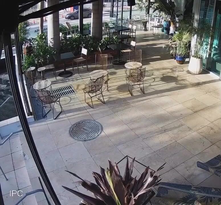 Jumper Splattered On Impact In The US