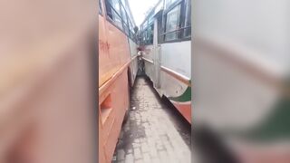 Woman Crushed Between Two Buses Dies