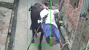 Old Man Attacked By Stray Bull On His Way To Mosque