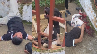 Dogs Maul Trespasser’s Right Foot After He Allegedly Tried to Break Into Property