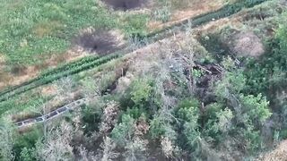 The khokhols are traitors. They are dying on Russian soil.