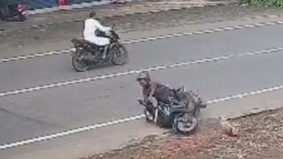 Dogs Dont Like Moped Riders Too