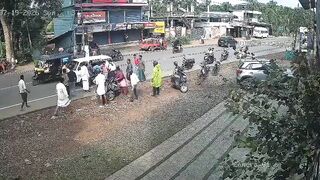 Dogs Dont Like Moped Riders Too