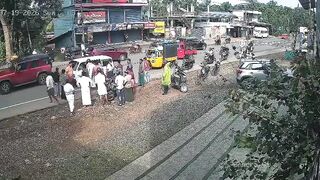 Dogs Dont Like Moped Riders Too