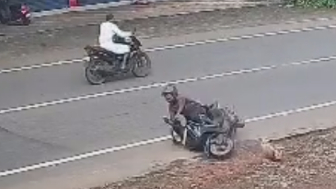 Dogs Dont Like Moped Riders Too