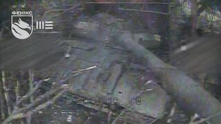 Phoenix unit destroys Russian logistics. Weekly compilation.