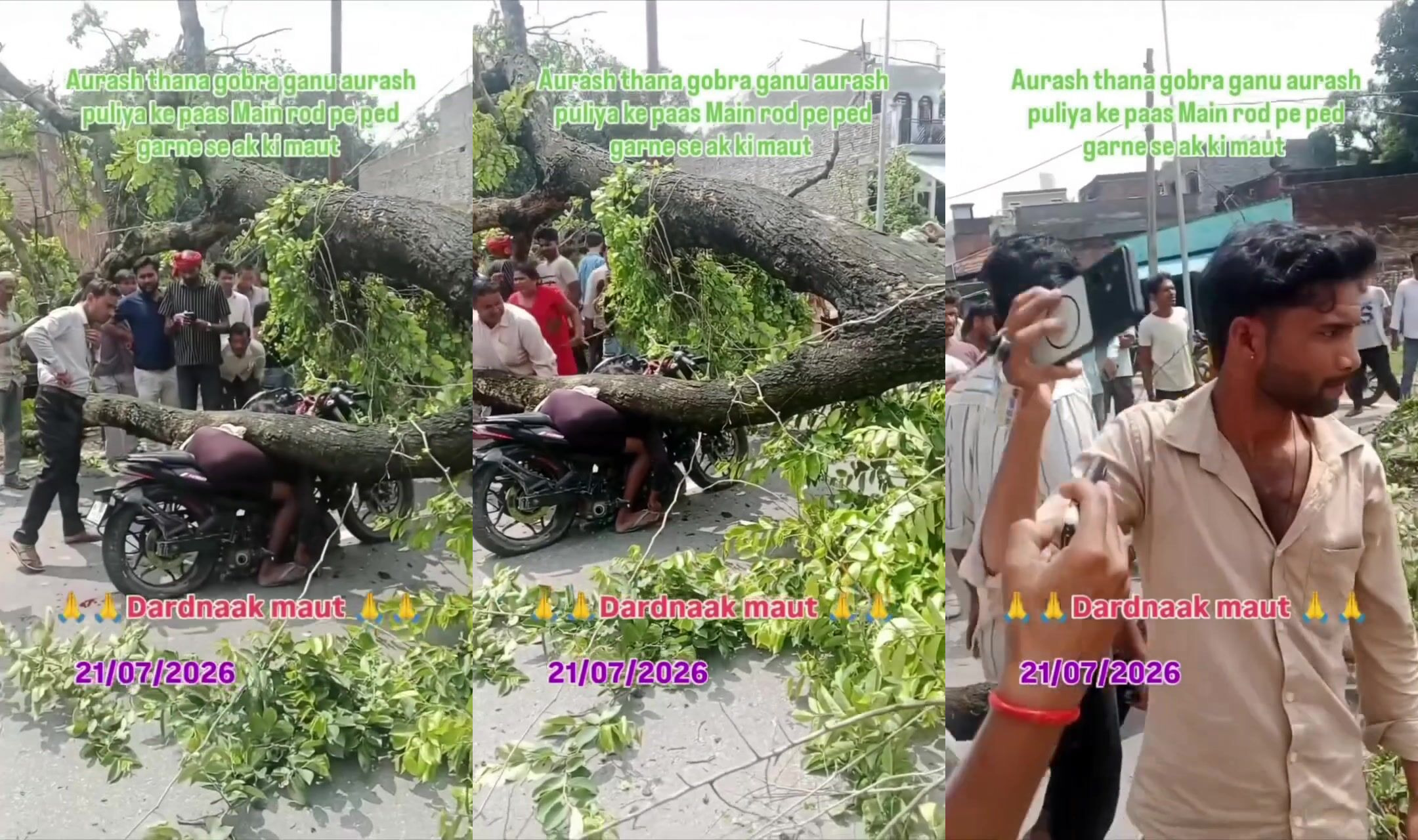 Tree kills motorist