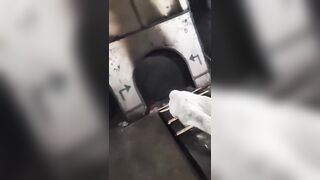 Grandson jumps into crematorium furnace with grandmother’s body