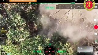 Subhumans assault destroyed.