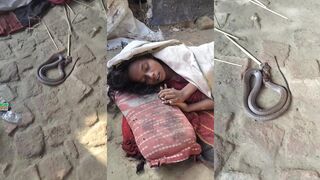 Died in her sleep bit by poisonous snake