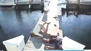 Murder In Florida: Man Knocked Out And Thrown Into Water