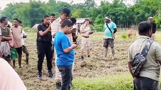 Man dies caught in tractor