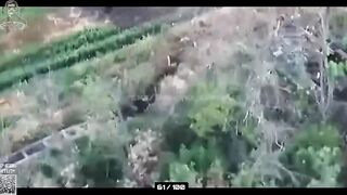 Last week compilation - minus 100 Ukrainians.