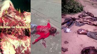 Gore compilation 44